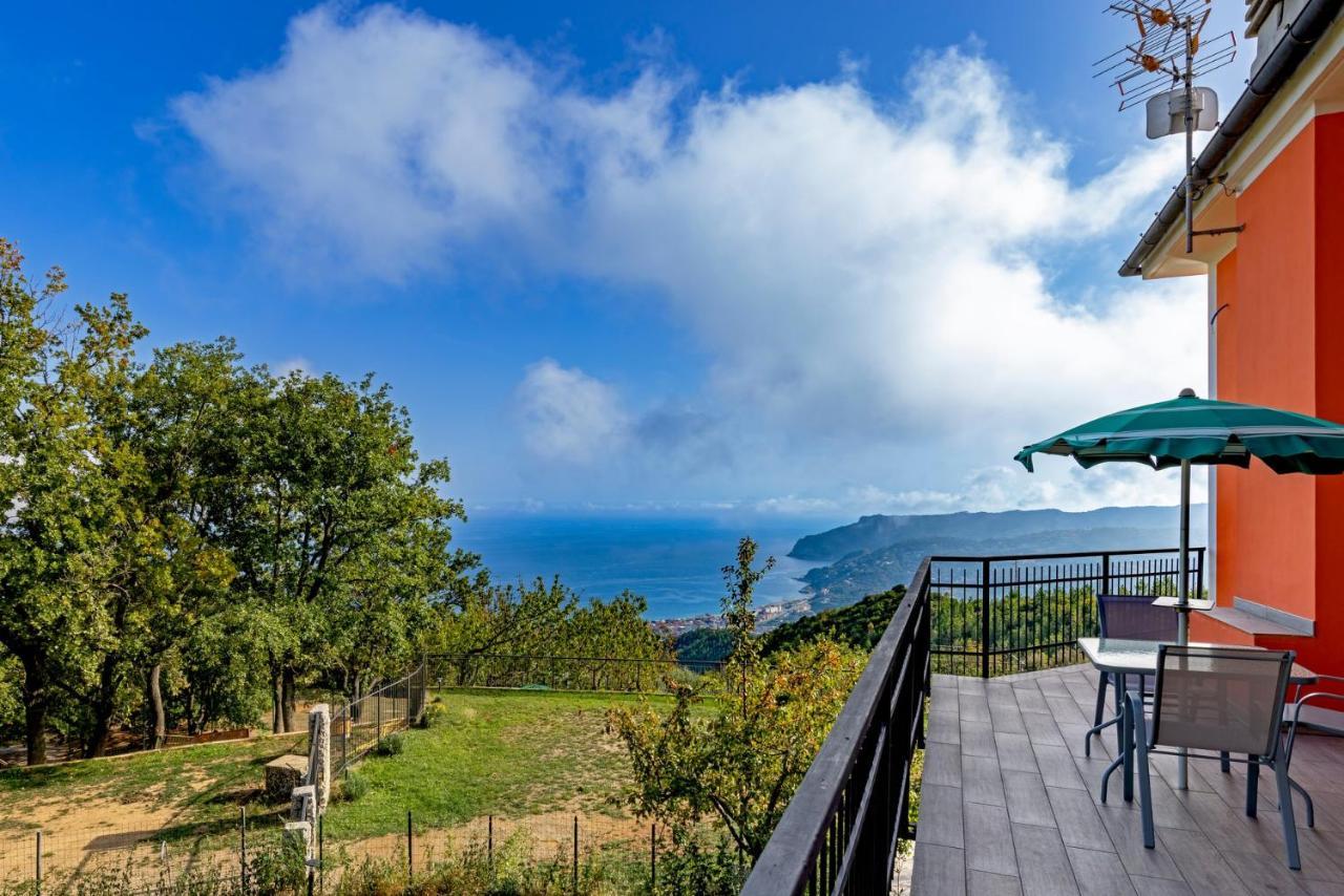 Agriturismo Cascina Trevo 스포토르노 외부 사진
