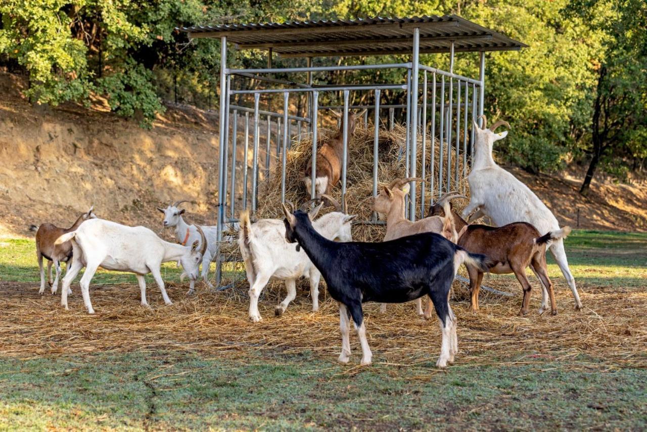 Agriturismo Cascina Trevo 스포토르노 외부 사진